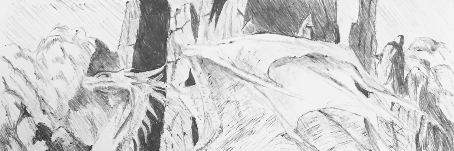snivy24's profile banner image