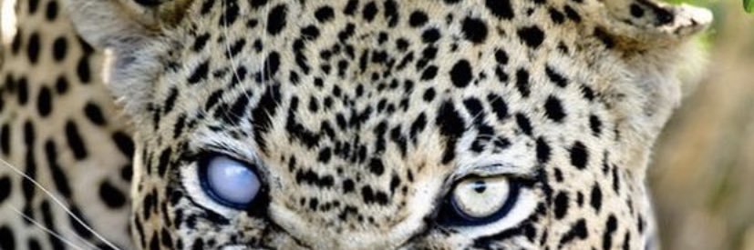 zay_uno's profile banner image