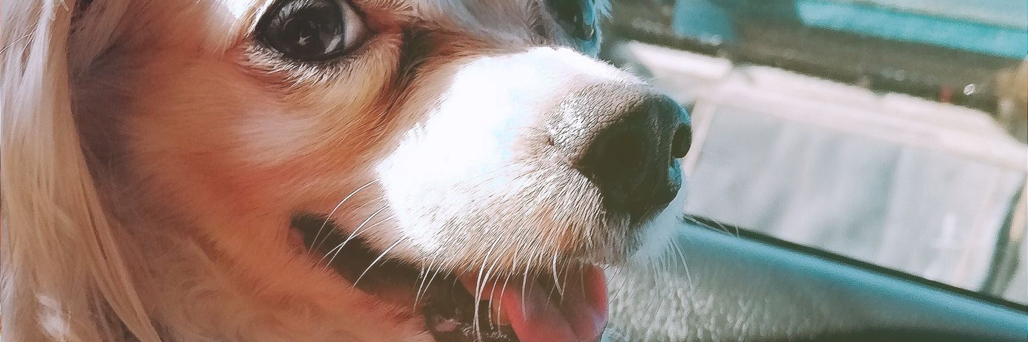 emceeeng's profile banner image
