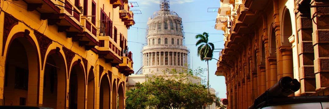 Rut Socarrás banner