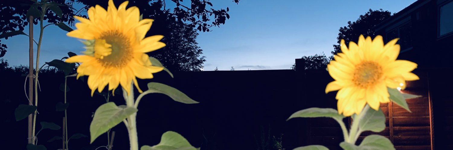 JazminChest22's profile banner image