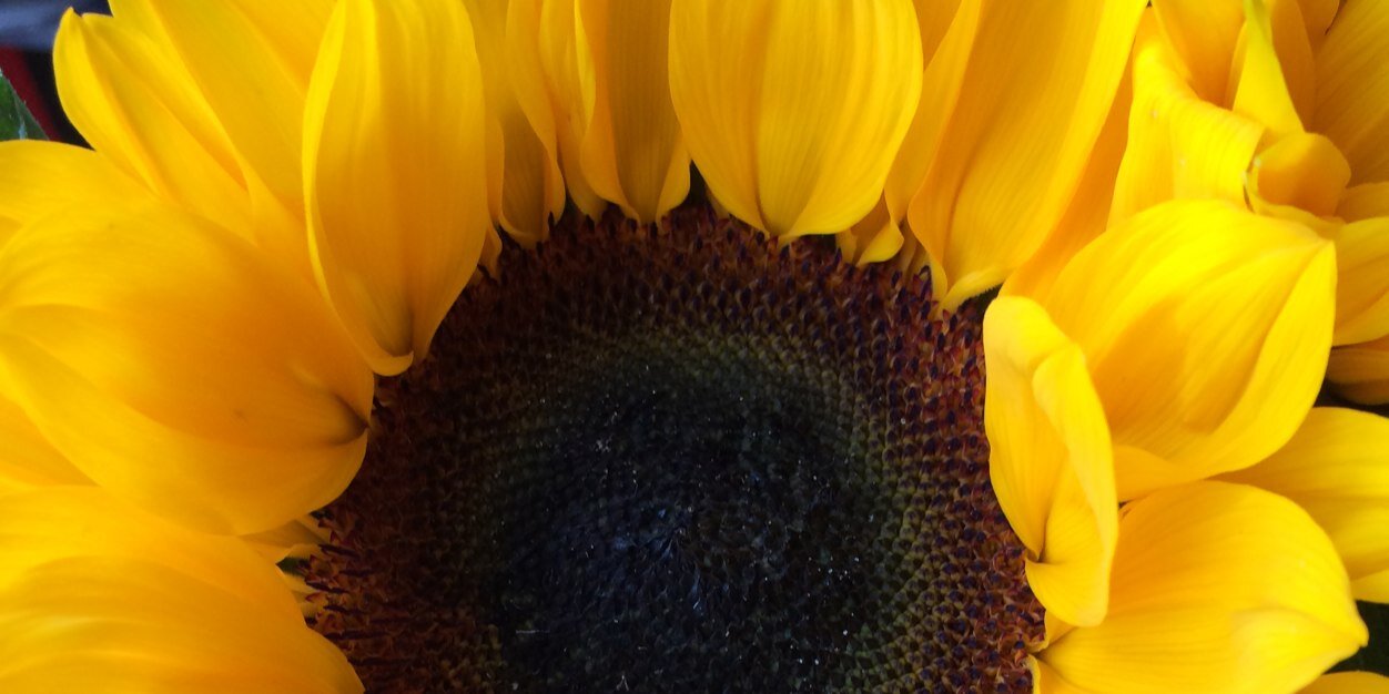 pipgrace06's profile banner image