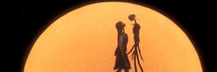 tozzitini's profile banner image