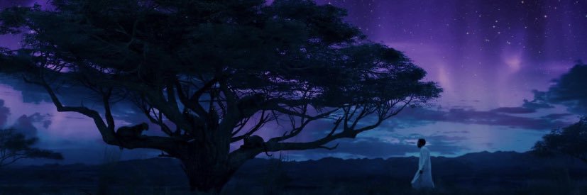 _Neighbor_'s profile banner image
