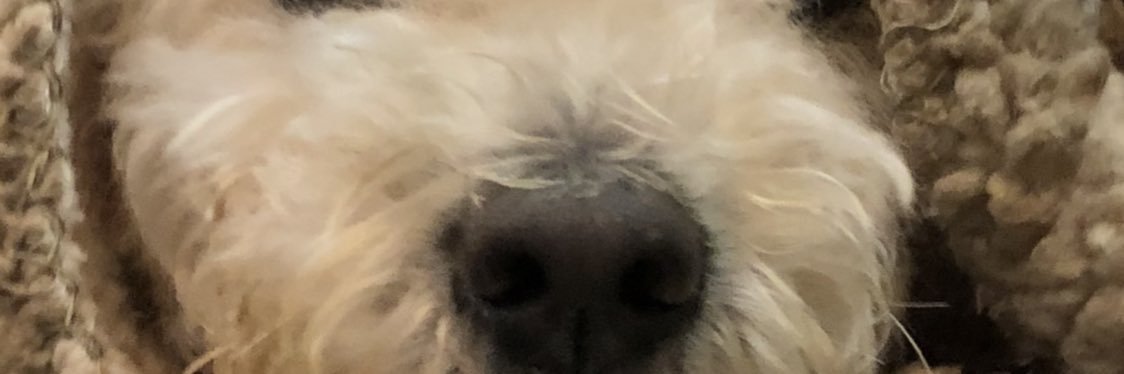 YesiSkittles's profile banner image