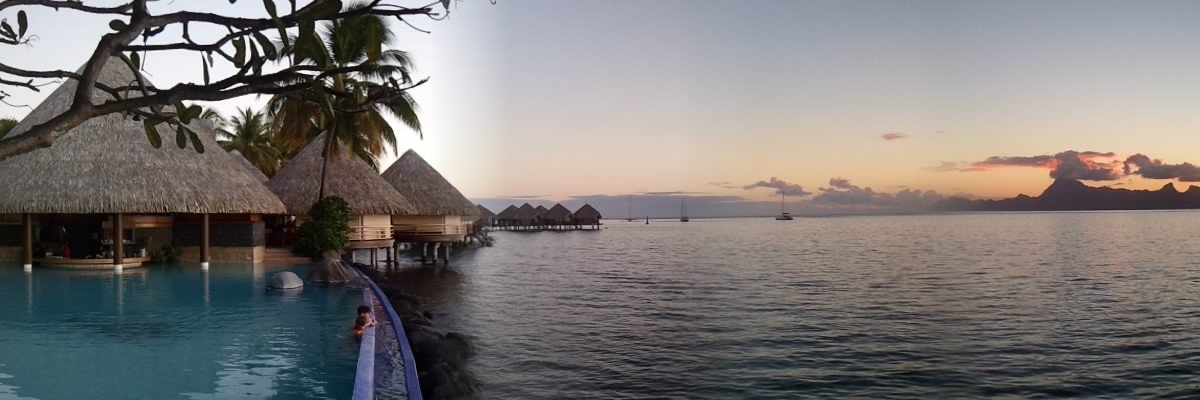 Crypto1Brad's profile banner image