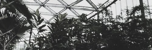 beatricedemi's profile banner image