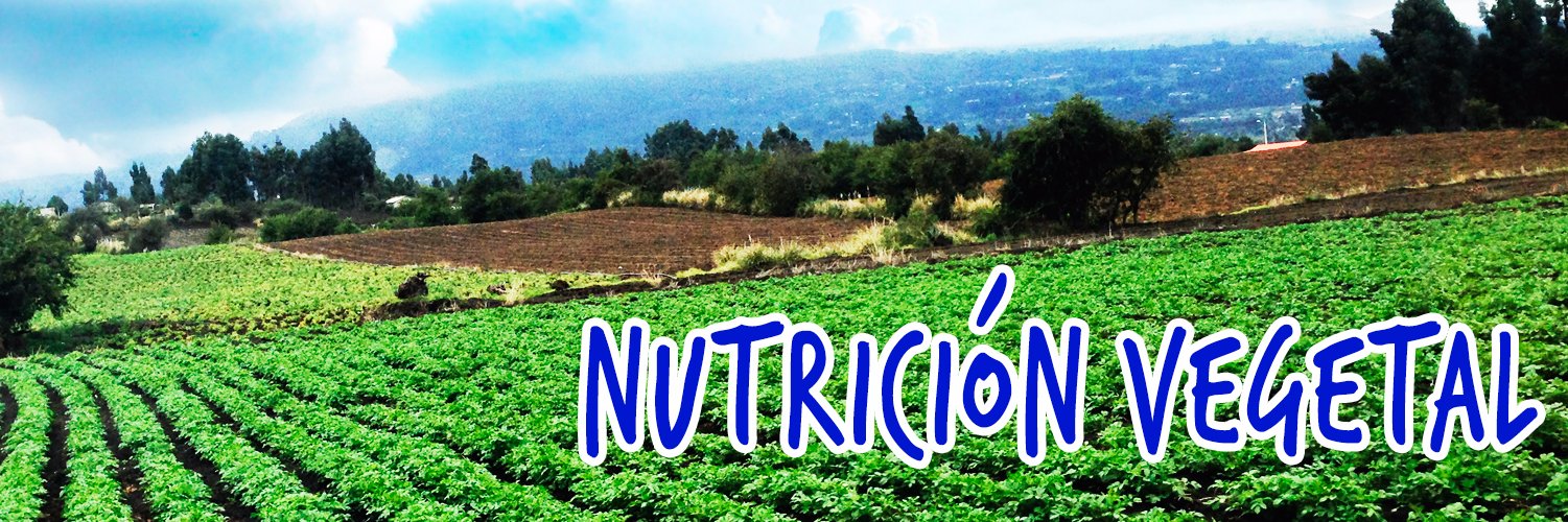 _visagro's profile banner image
