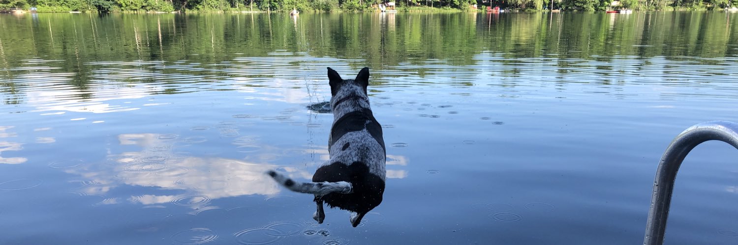 Trying not to be disappointed in humanity banner