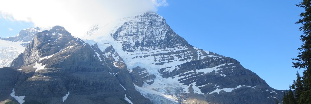 Carolyn Kildare banner