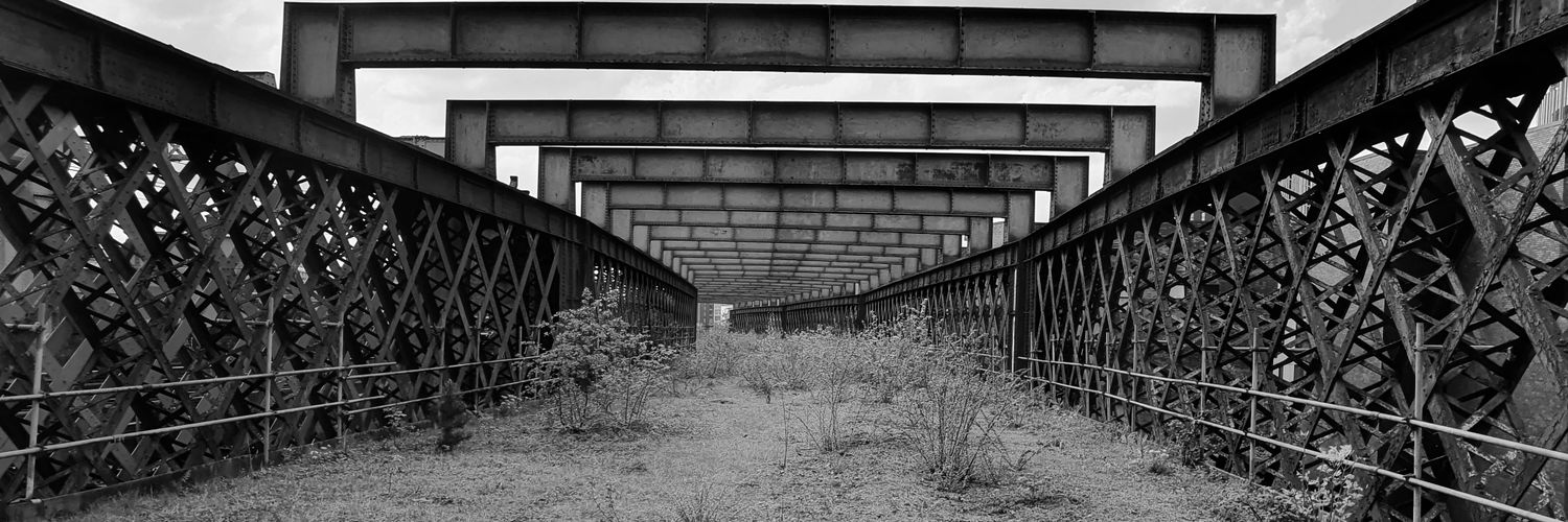 Dr Albert Poon 💙 banner