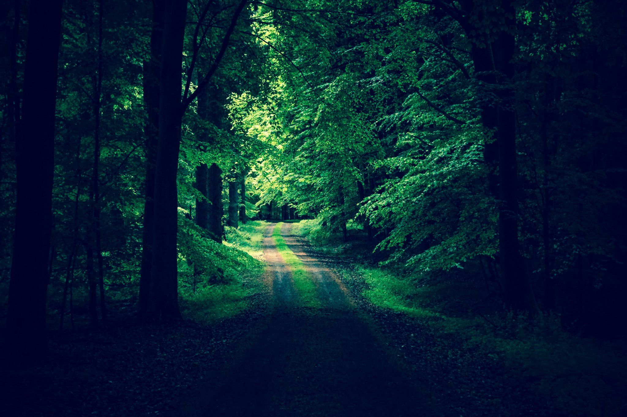 Detion_'s profile banner image