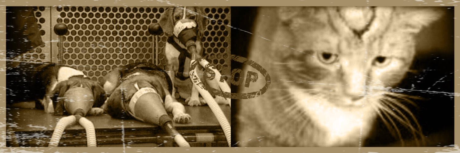 Grayimen's profile banner image