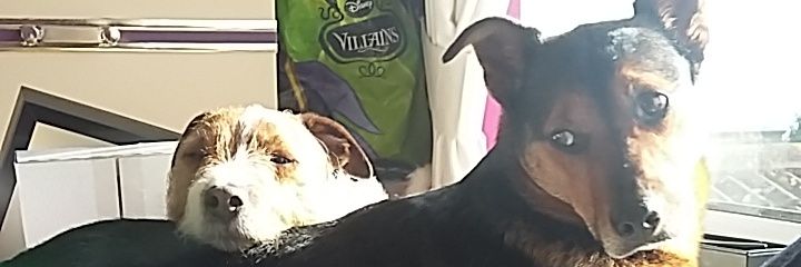 bekah_white's profile banner image