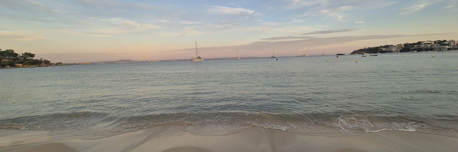 MedeniE's profile banner image