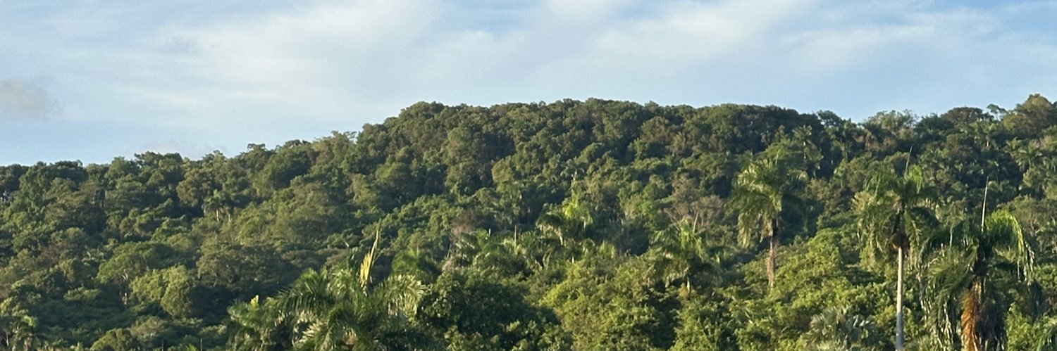 Fritico maduro 🤌🏽 banner