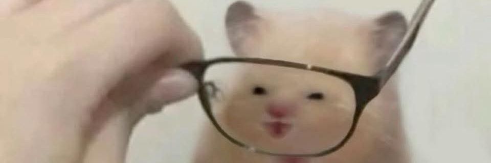 TweetyDz's profile banner image