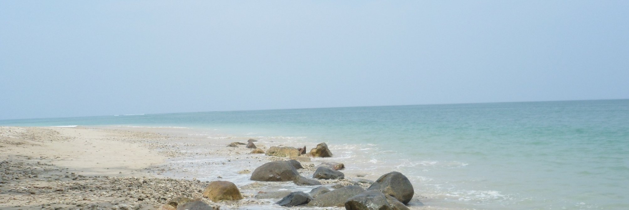 poo96's profile banner image