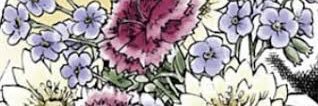 PIPIXXG's profile banner image