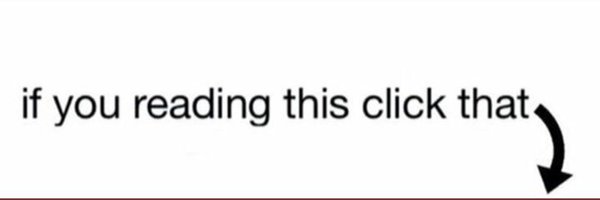 michaelhoneyD Profile Banner