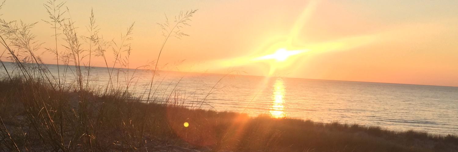 FreeburnFACS's profile banner image