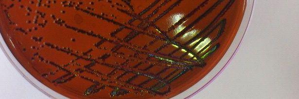 franballestero1's profile banner image