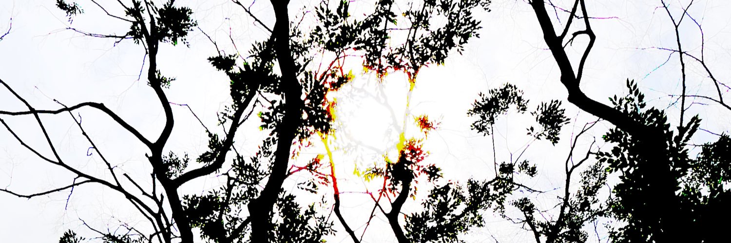 shun_IL_'s profile banner image