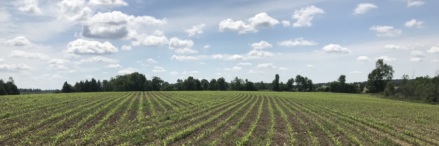 Kayla Veldman banner