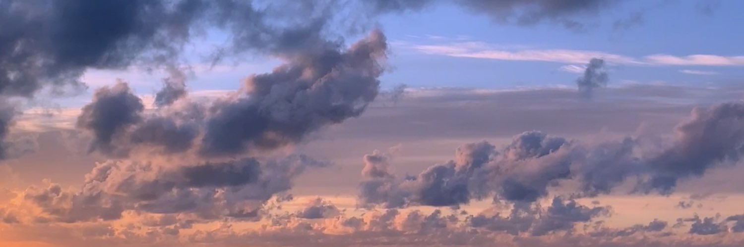 sscherring's profile banner image