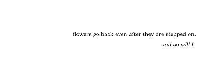 ⓘ Starring in Summer: STAYC’s 공주 ˖ ꯭✿ banner