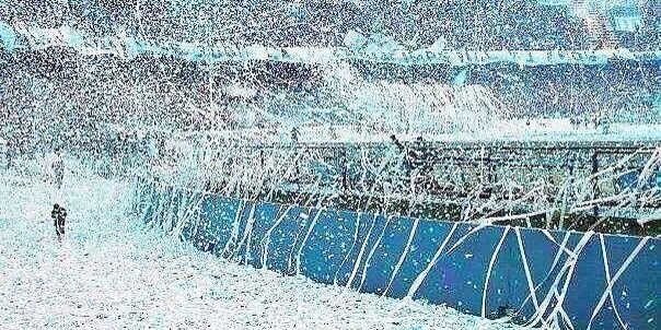 ALVAREZ Y BORGES banner