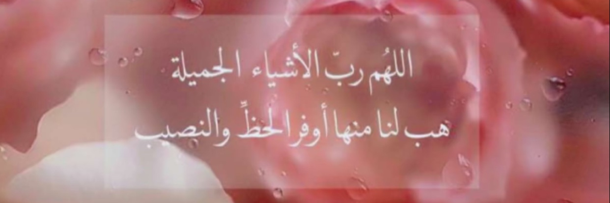 MoonAlqubaisi's profile banner image