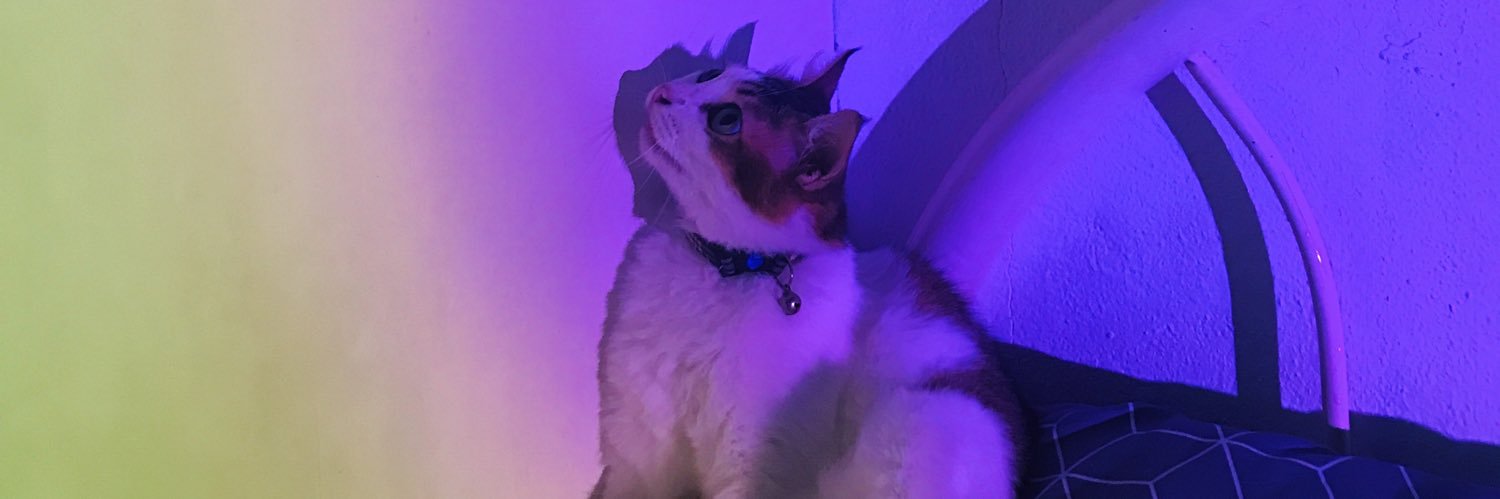 oshbbh97's profile banner image