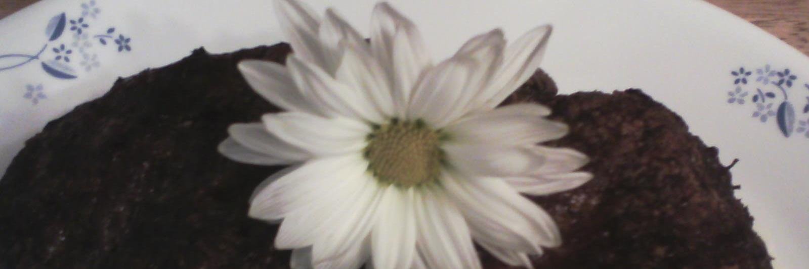 mrsdaffodyl's profile banner image