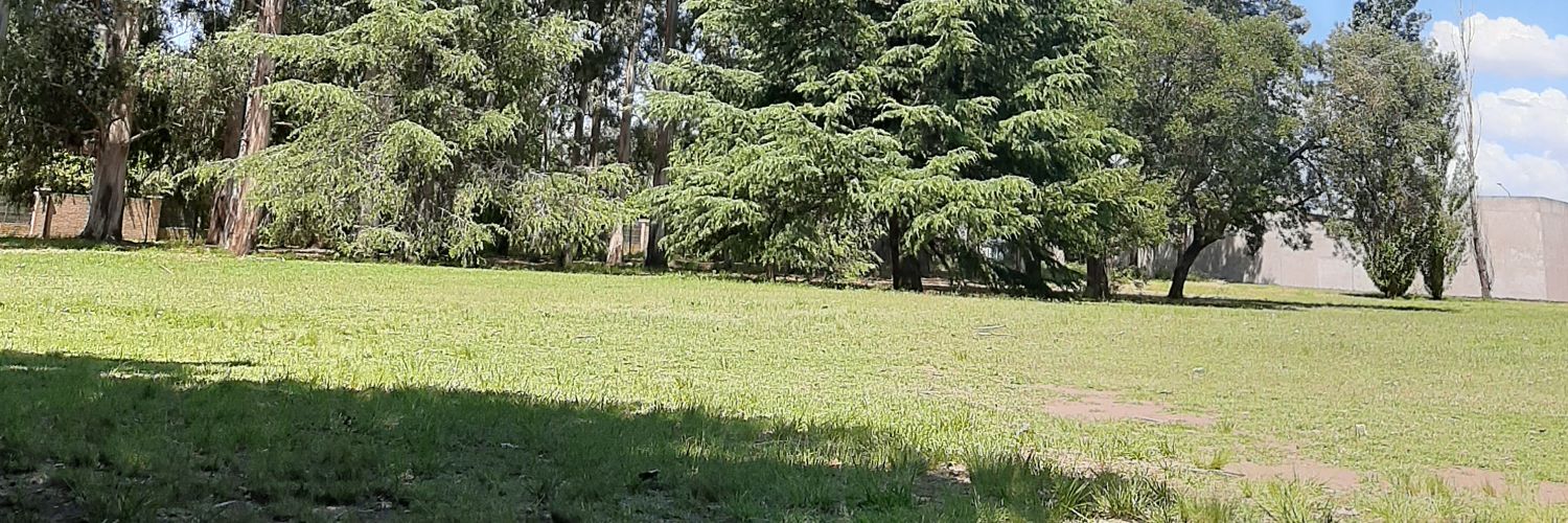 trieciano's profile banner image