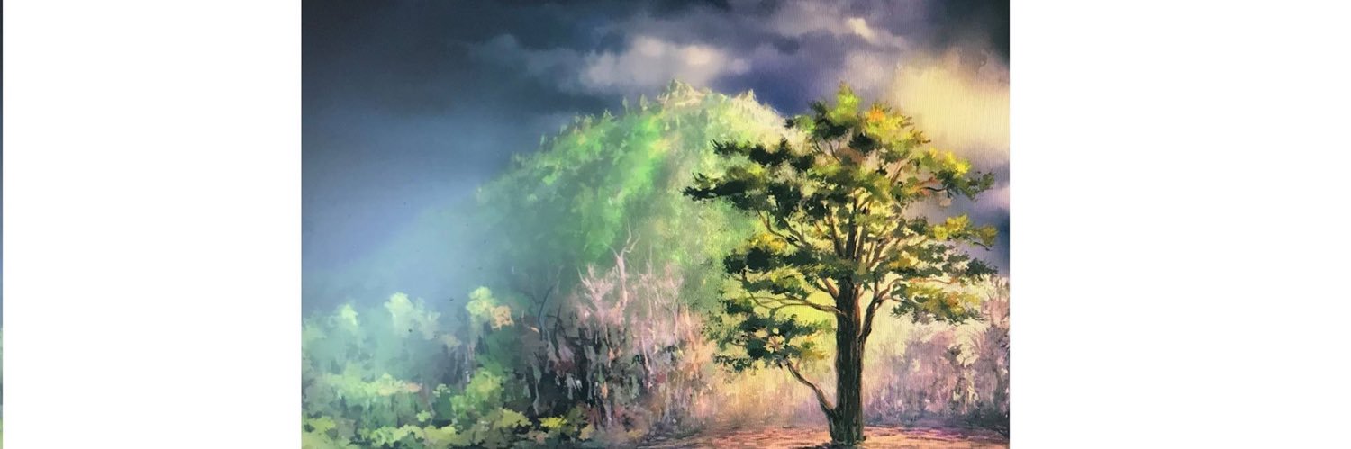 lhunterauthor's profile banner image