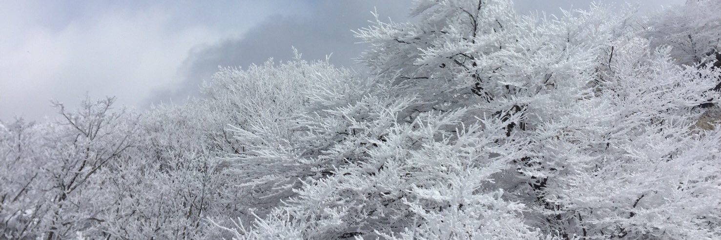 morningchld's profile banner image