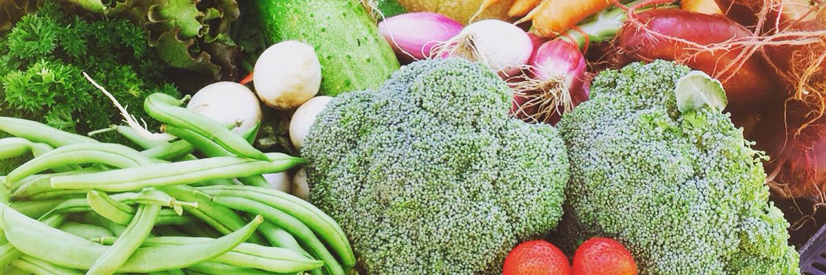 SteadyHandFarm's profile banner image