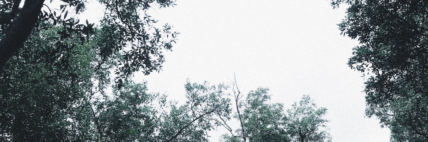 Jack_apisit's profile banner image