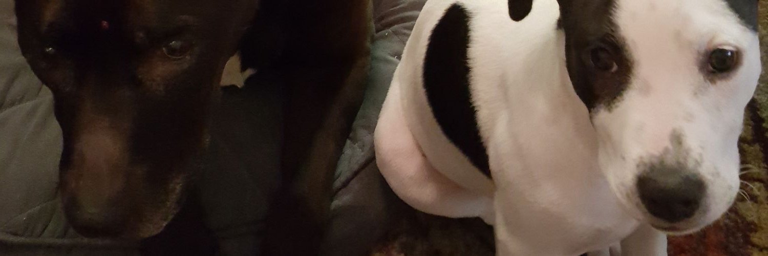 Hudsontheboy's profile banner image