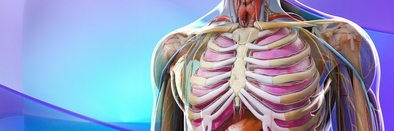 ViewMedica's profile banner image