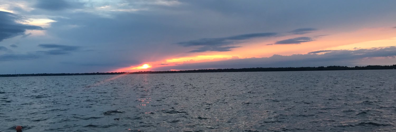 MaddieMcsweeney's profile banner image