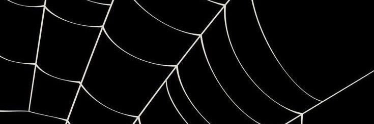 _CollenMbatha's profile banner image