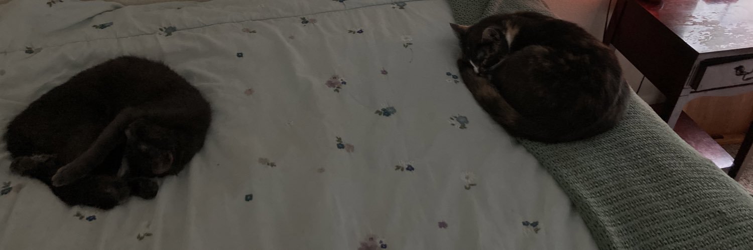 SarahABarfield's profile banner image