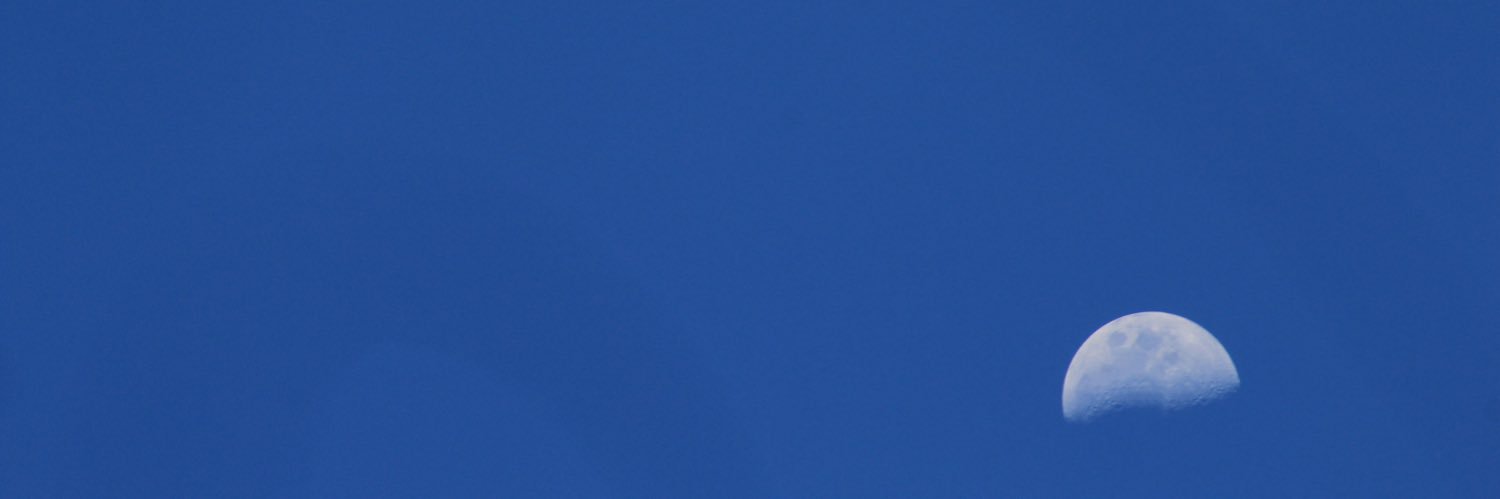 sofia_mallmann's profile banner image