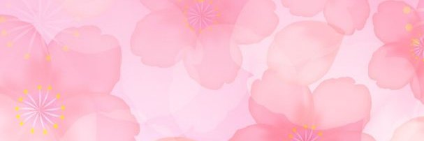 Nikki_Zea's profile banner image