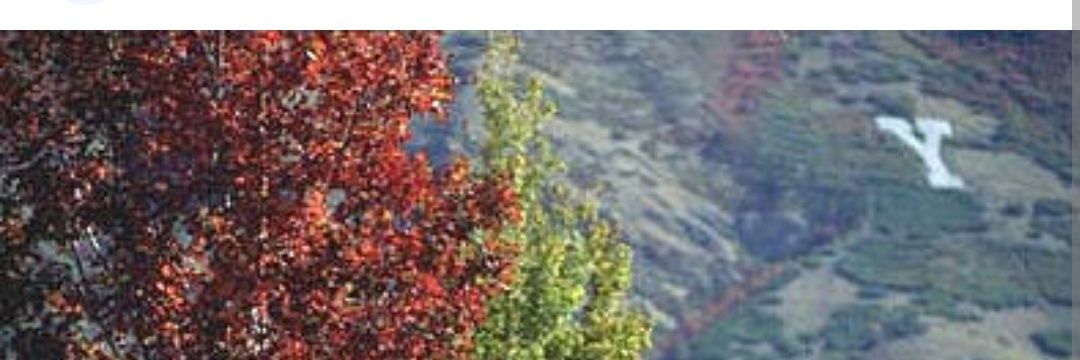 Amber's banner