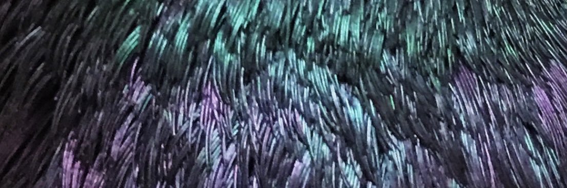 CamChristopher's profile banner image