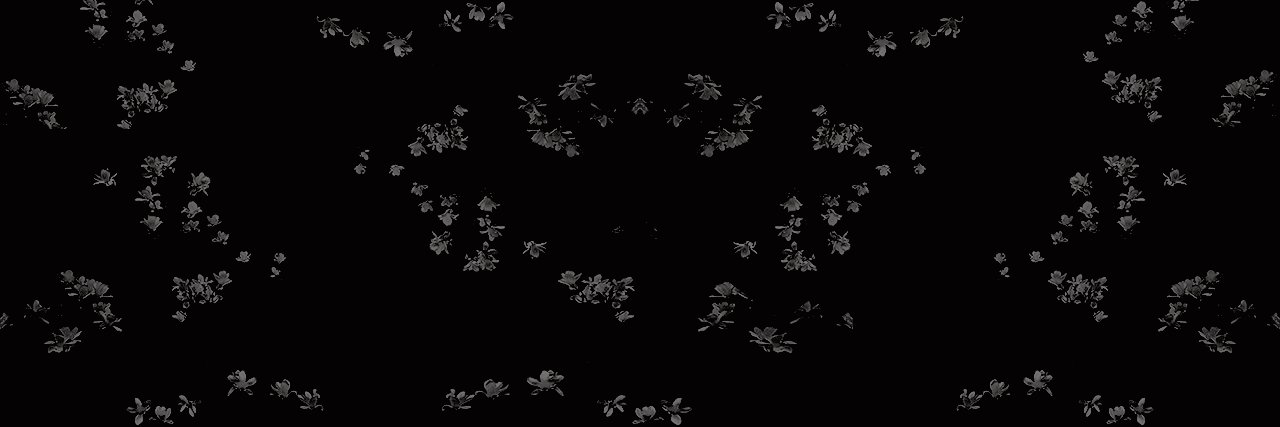 fwgothic's profile banner image