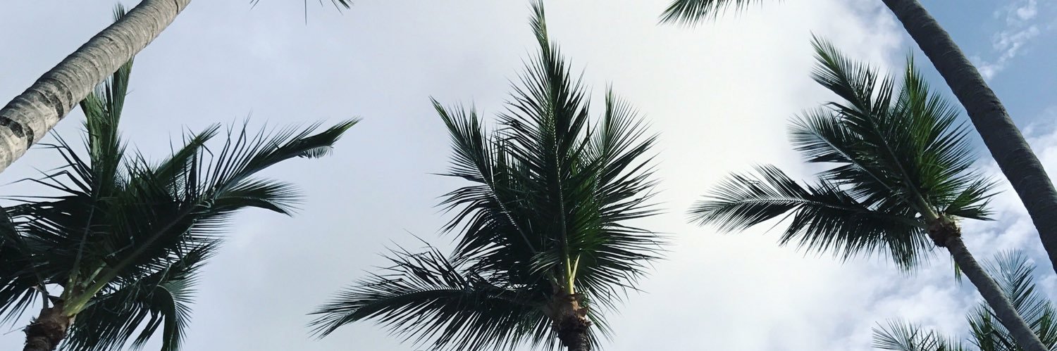 orgasmoking's profile banner image